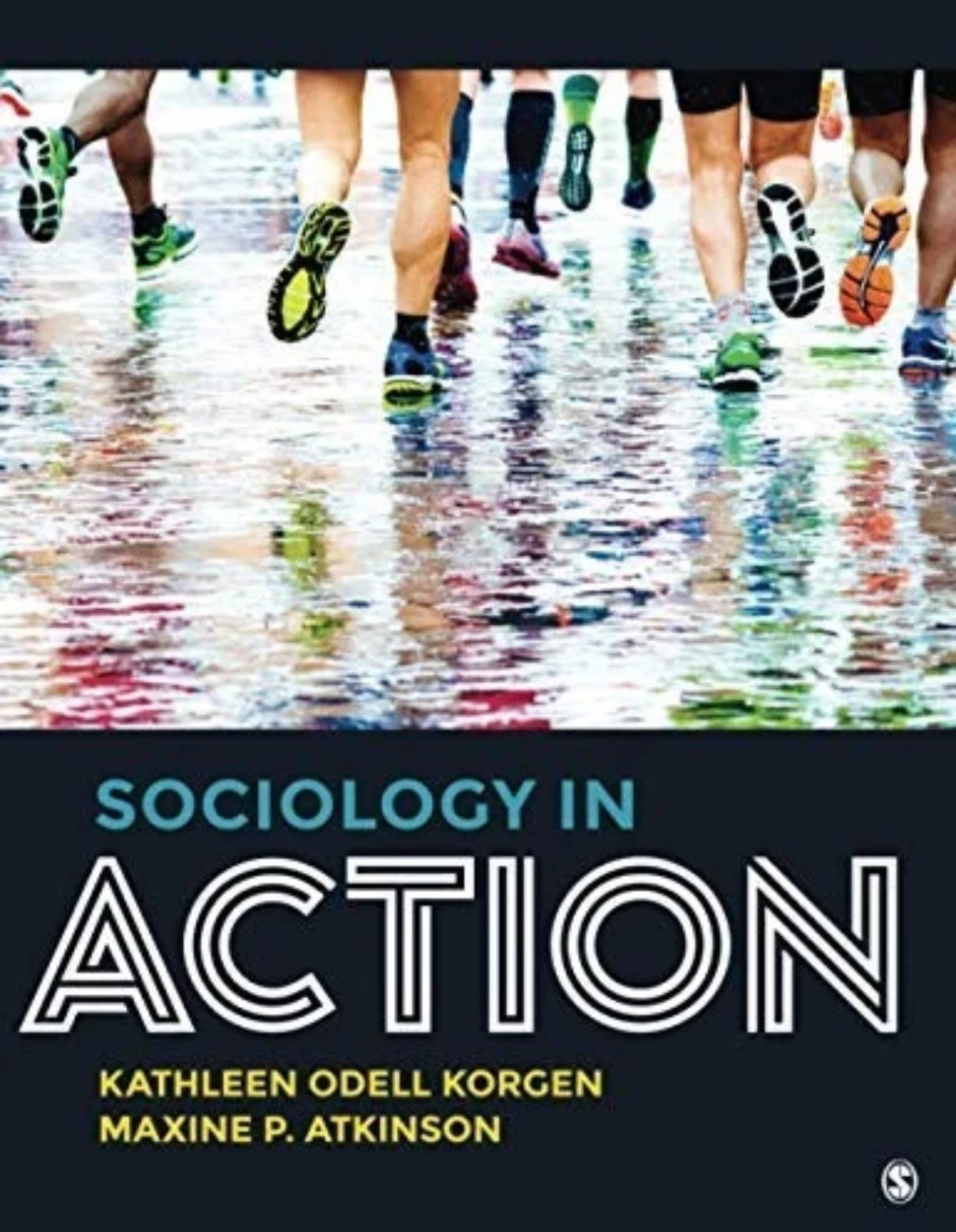 Sociology in Action First Edition