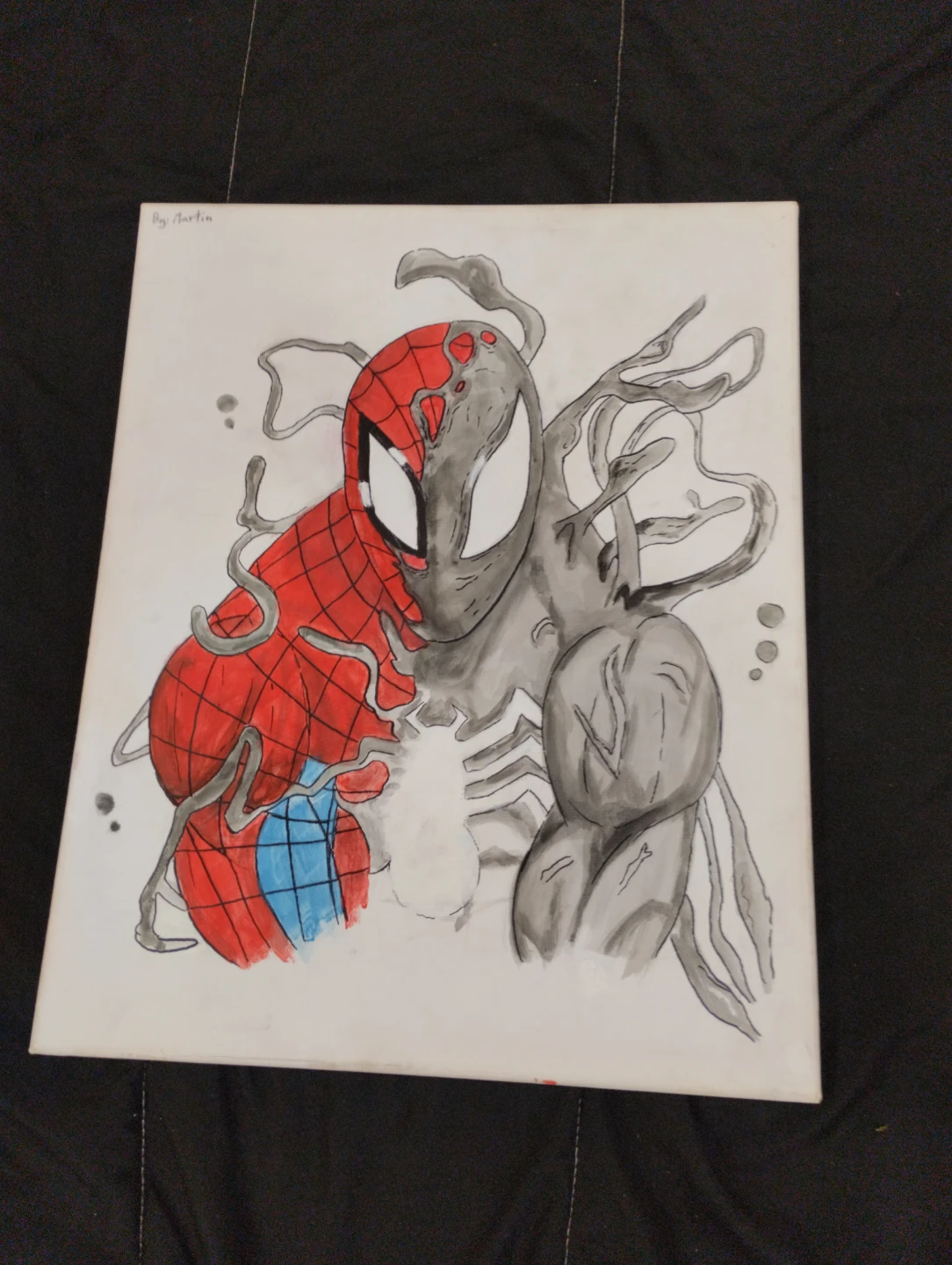 Spiderman and Venom Canvas Art