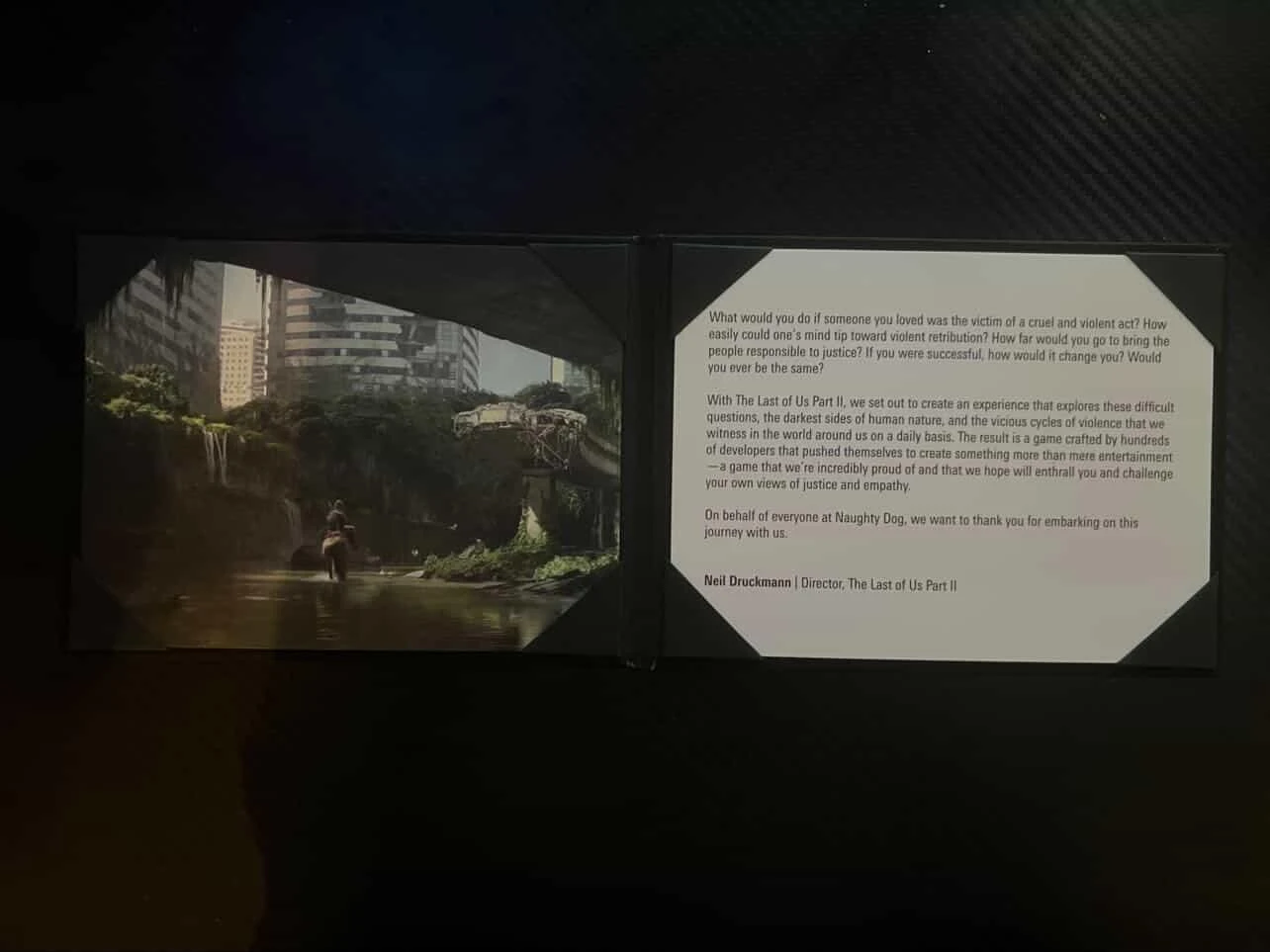 The Last of Us Part II Ellie Statue - photo 5