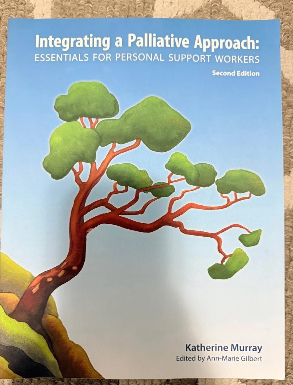Psw books - photo 4