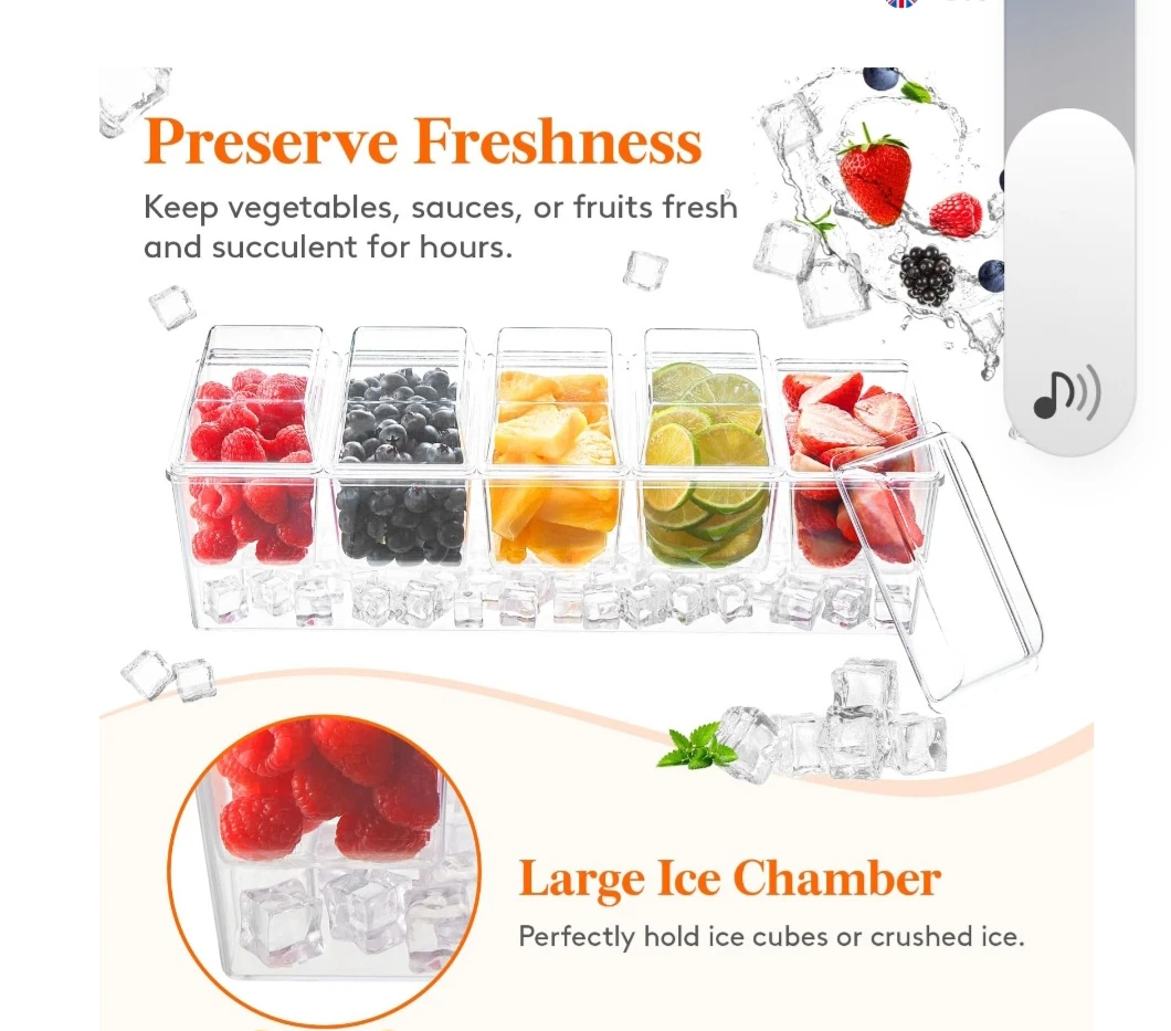 Lifewit 5-Compartment Condiment Server with Ice Chamber - photo 3