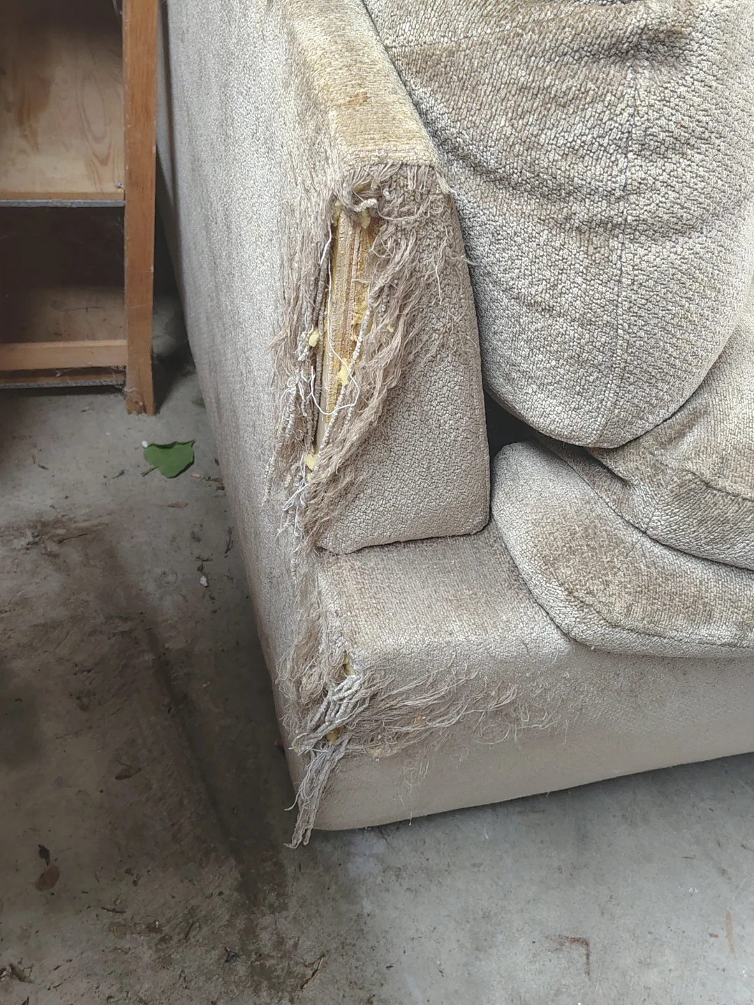 Beige Loveseat Sofa - Damaged - photo 4