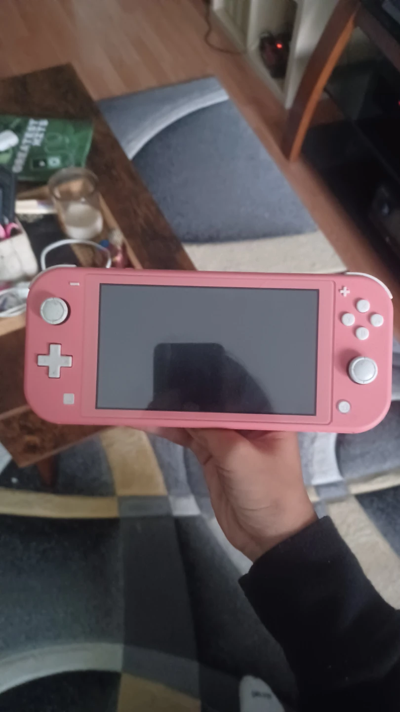 Nintendo lite