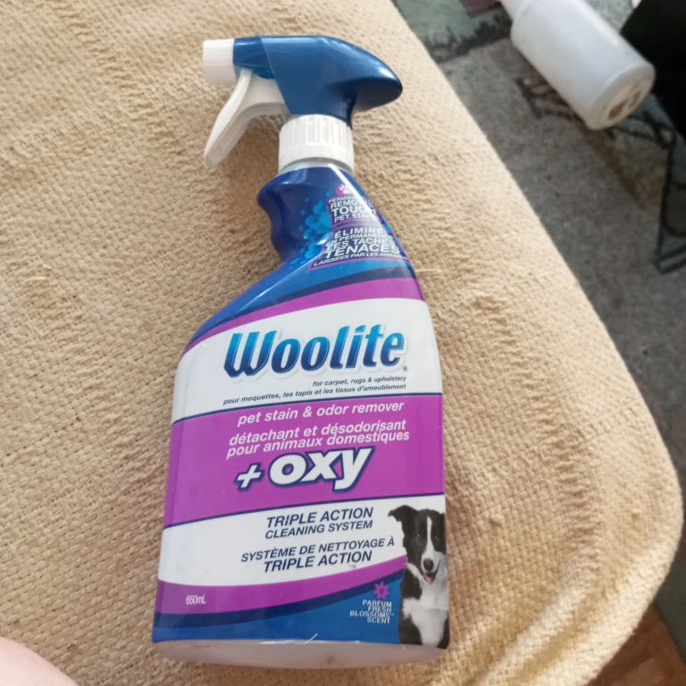 Woolite Pet Stain & Odor Remover + Oxy