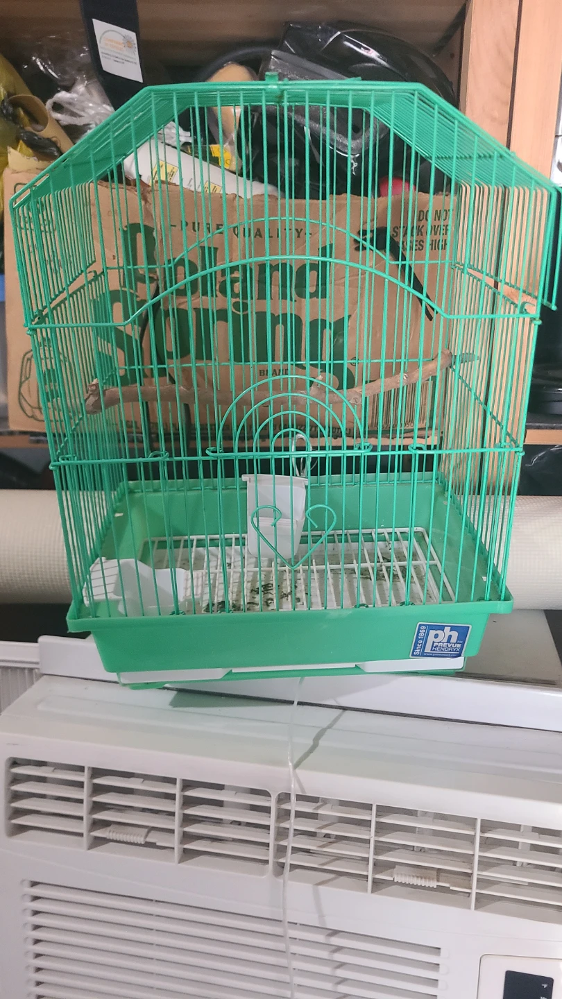Green Bird Cage