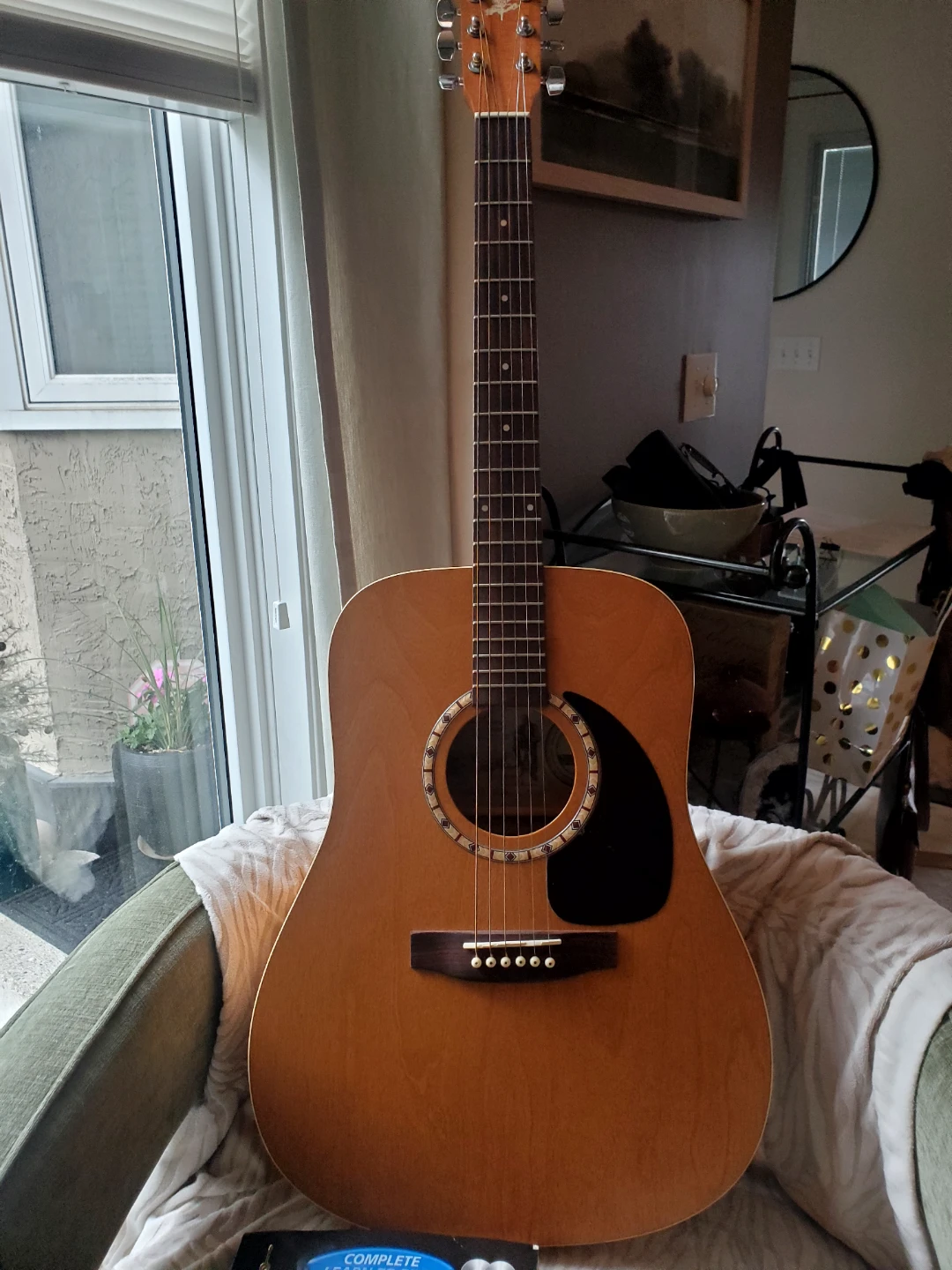 NEW Godin Art & Lutherie Acoustic Guitar with Gig Bag and Tuner