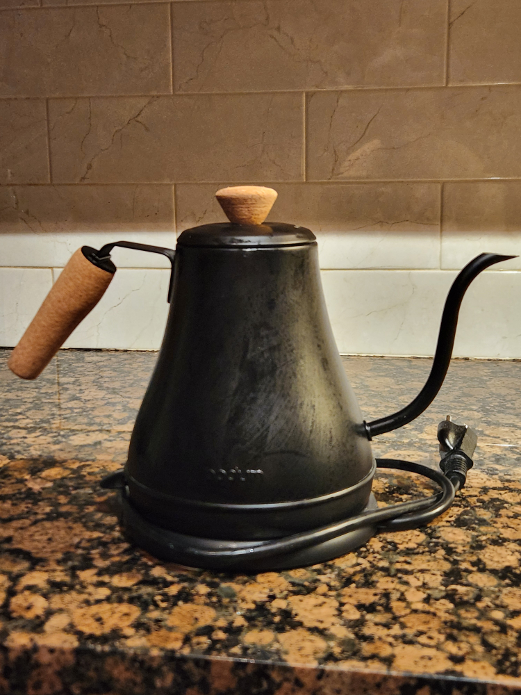 Electric Gooseneck Kettle