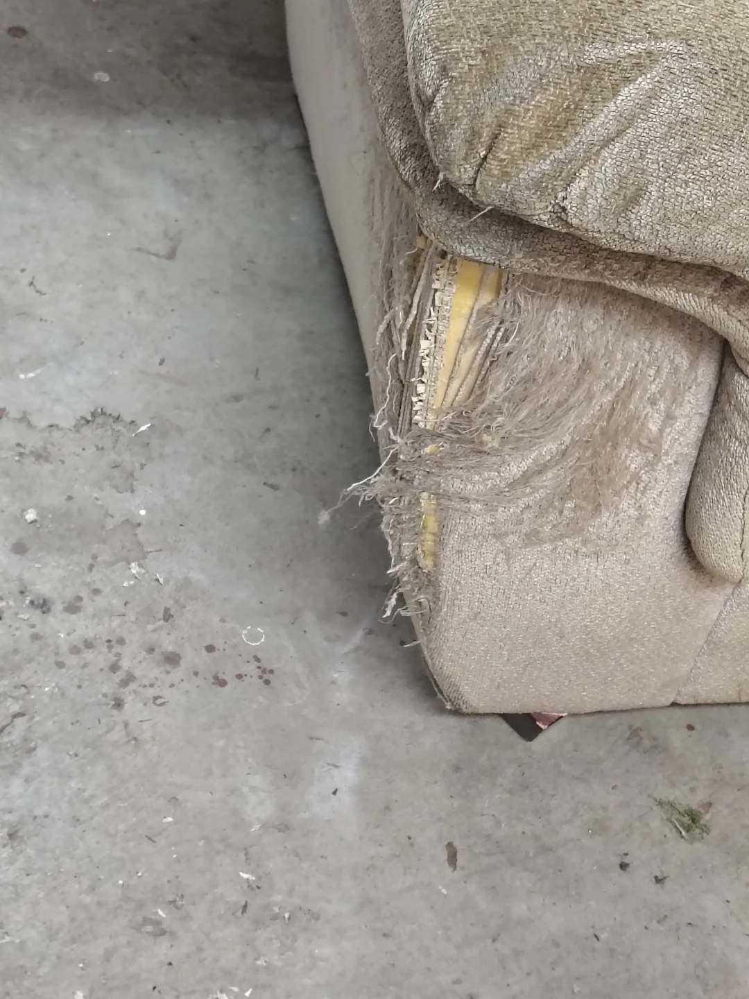 Beige Loveseat Sofa - Damaged - photo 3