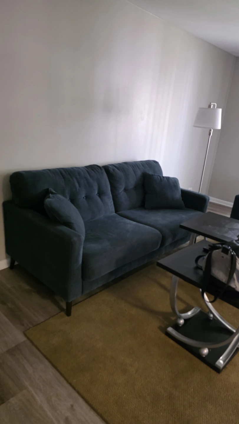 Blue Tufted Loveseat Sofa - photo 3