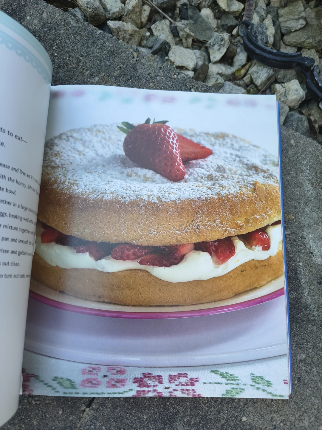Cake book cake's galore - photo 2