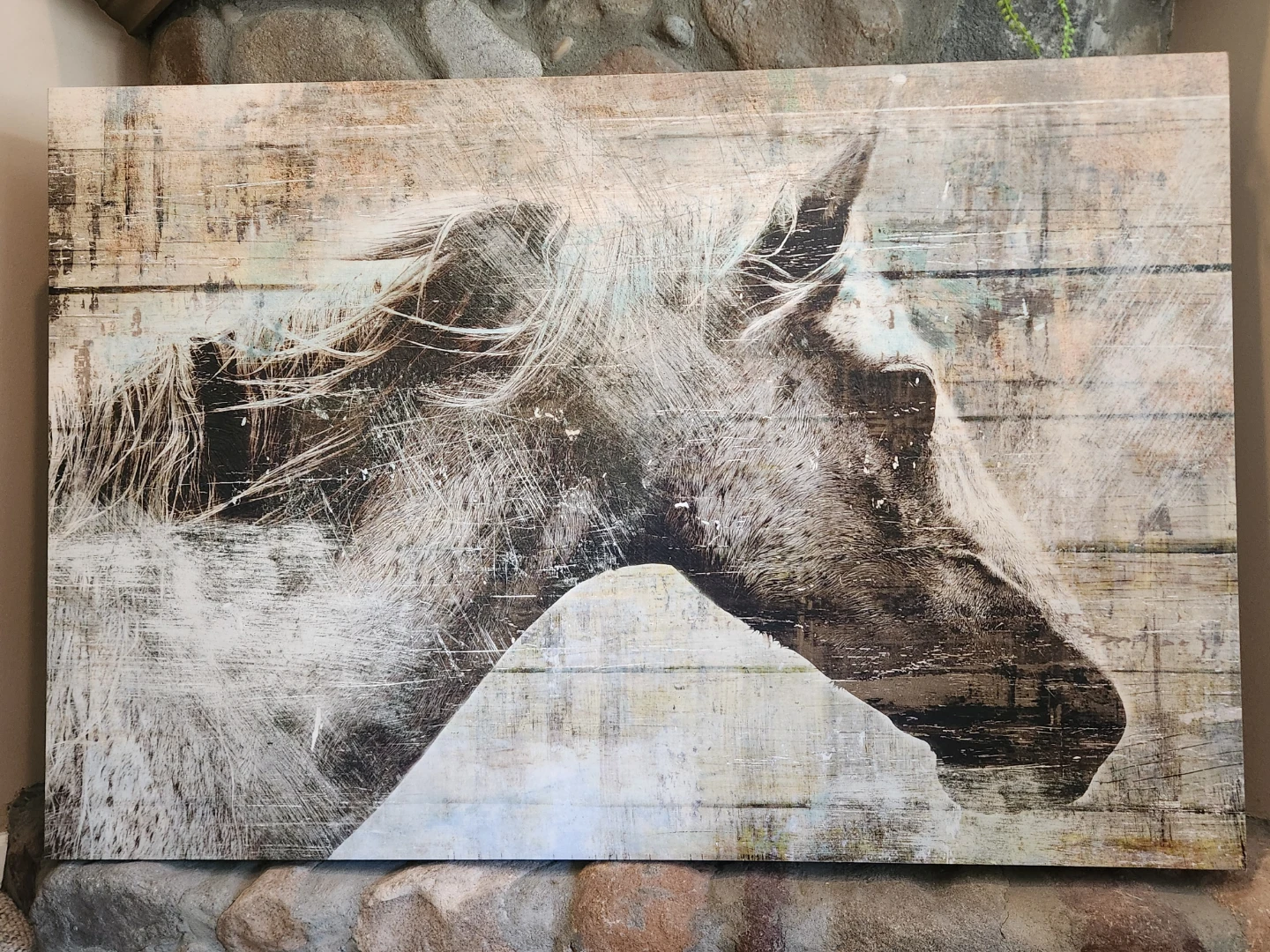 HORSE CANVAS