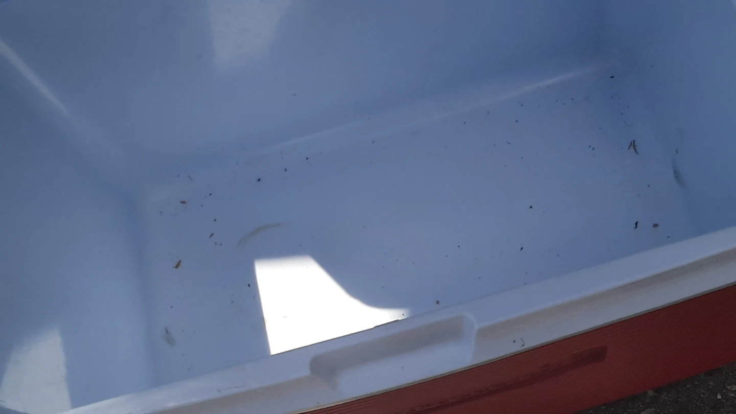Rubbermaid Red Cooler - photo 2