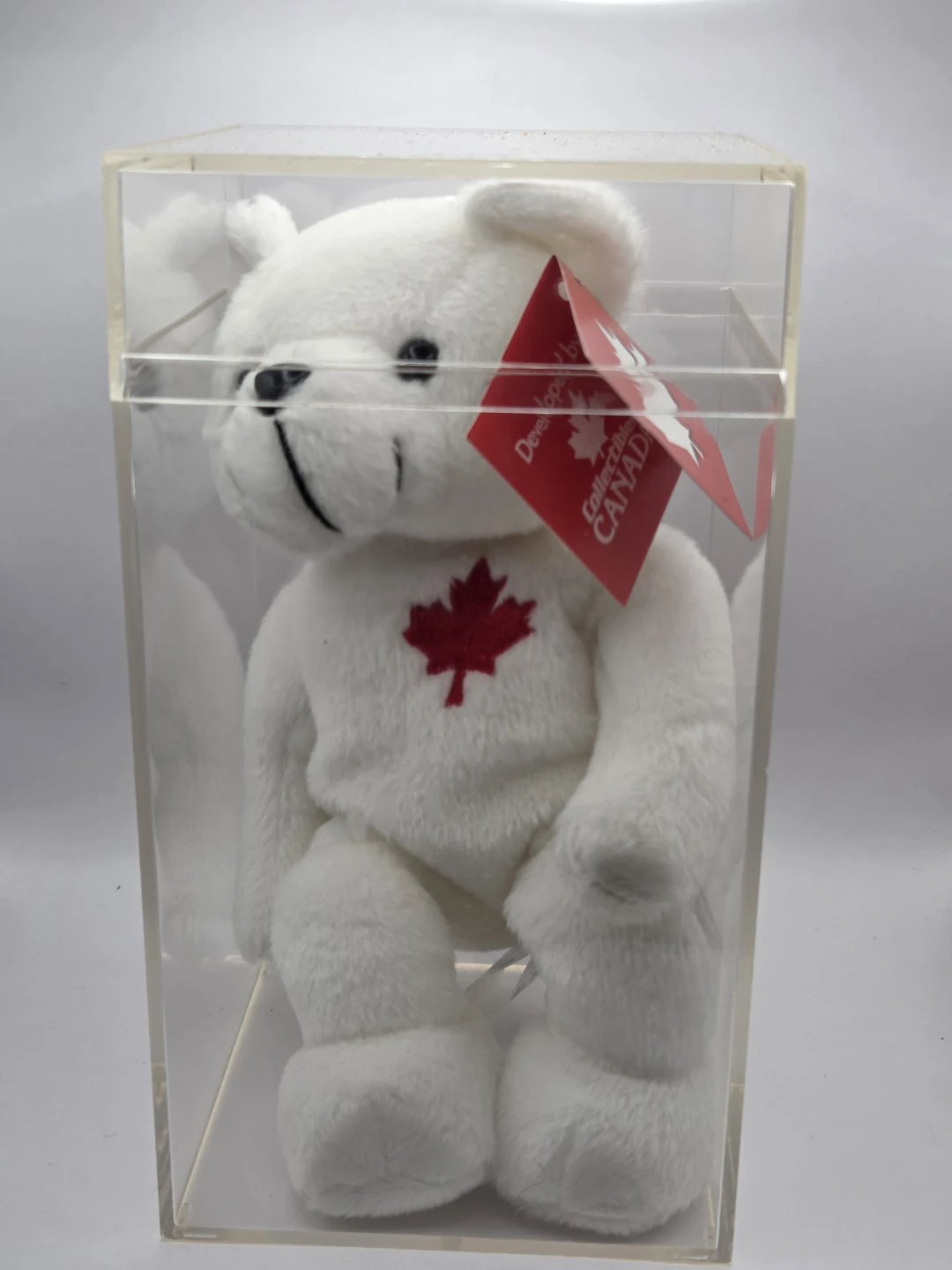 Ty Beanie Baby "Maple the Bear" (Canada Exclusive) with Case