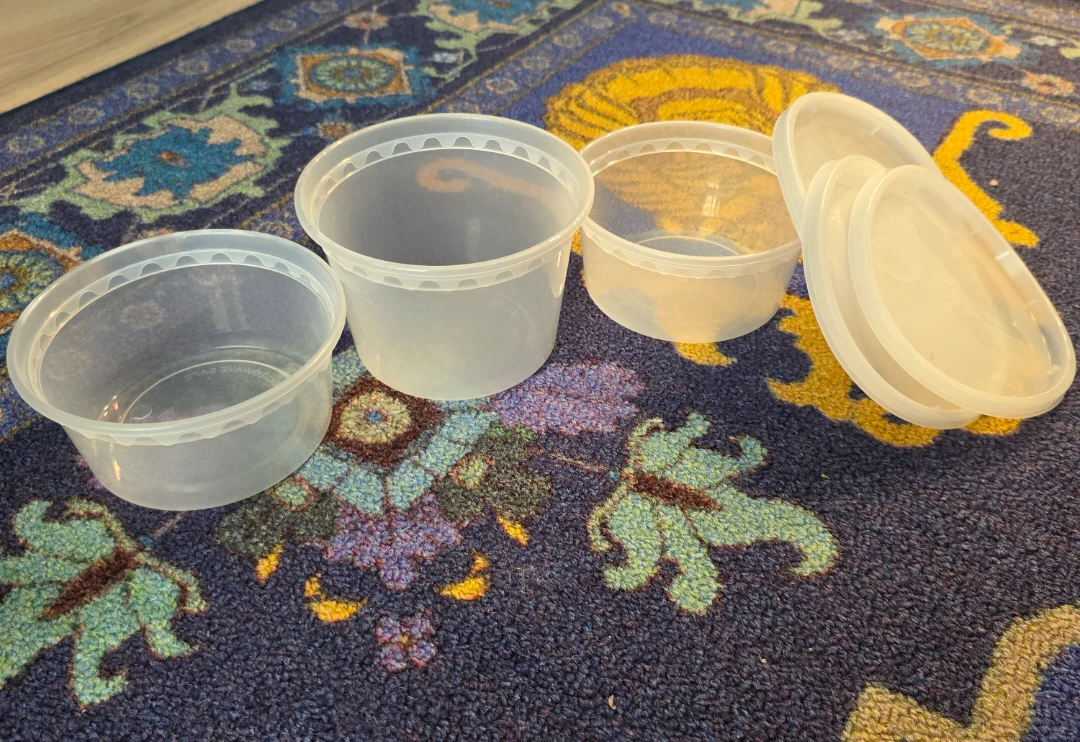 FREE Clear Plastic Food Storage Containers with Lids