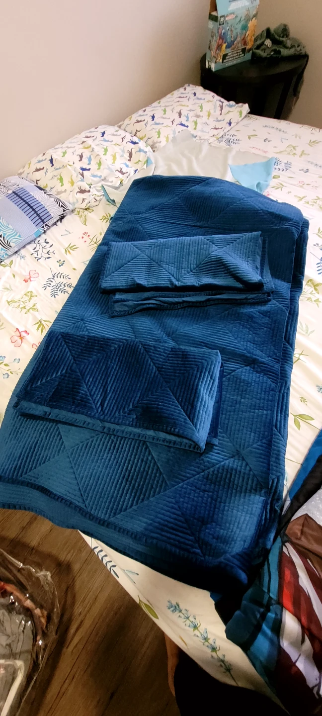 Blue Quilted Bedspread(size - king)