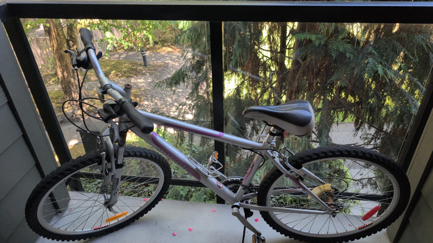 Infinity Mountain Bike - photo 2