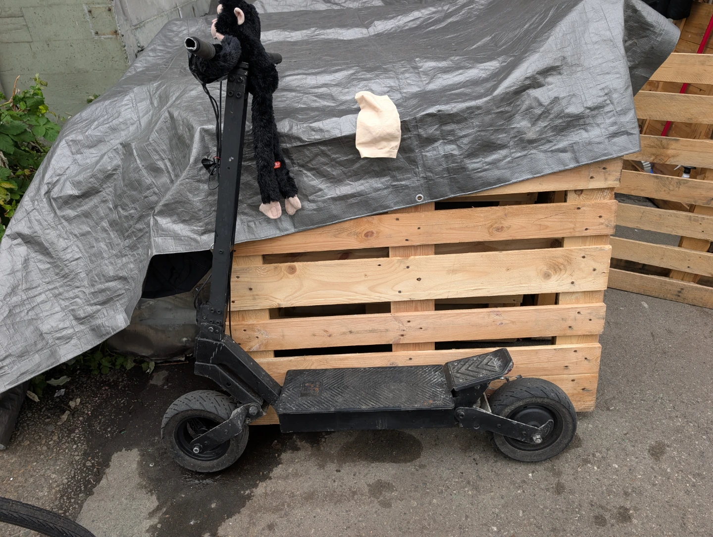 Black Electric Scooter