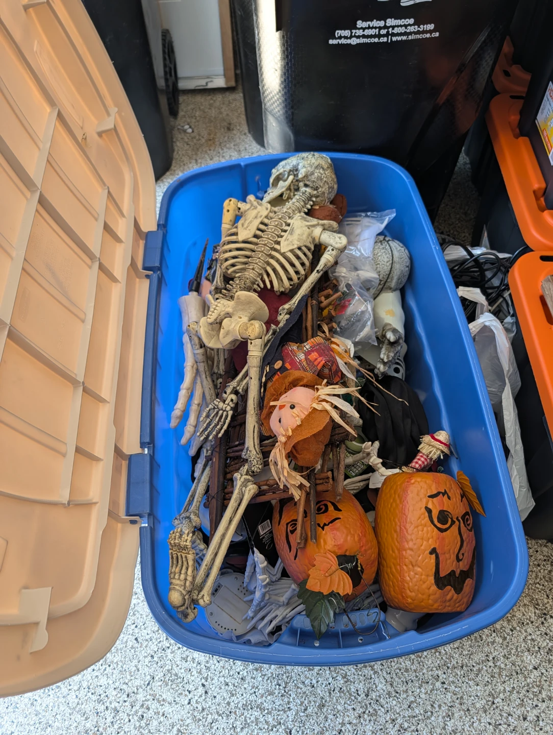 Halloween