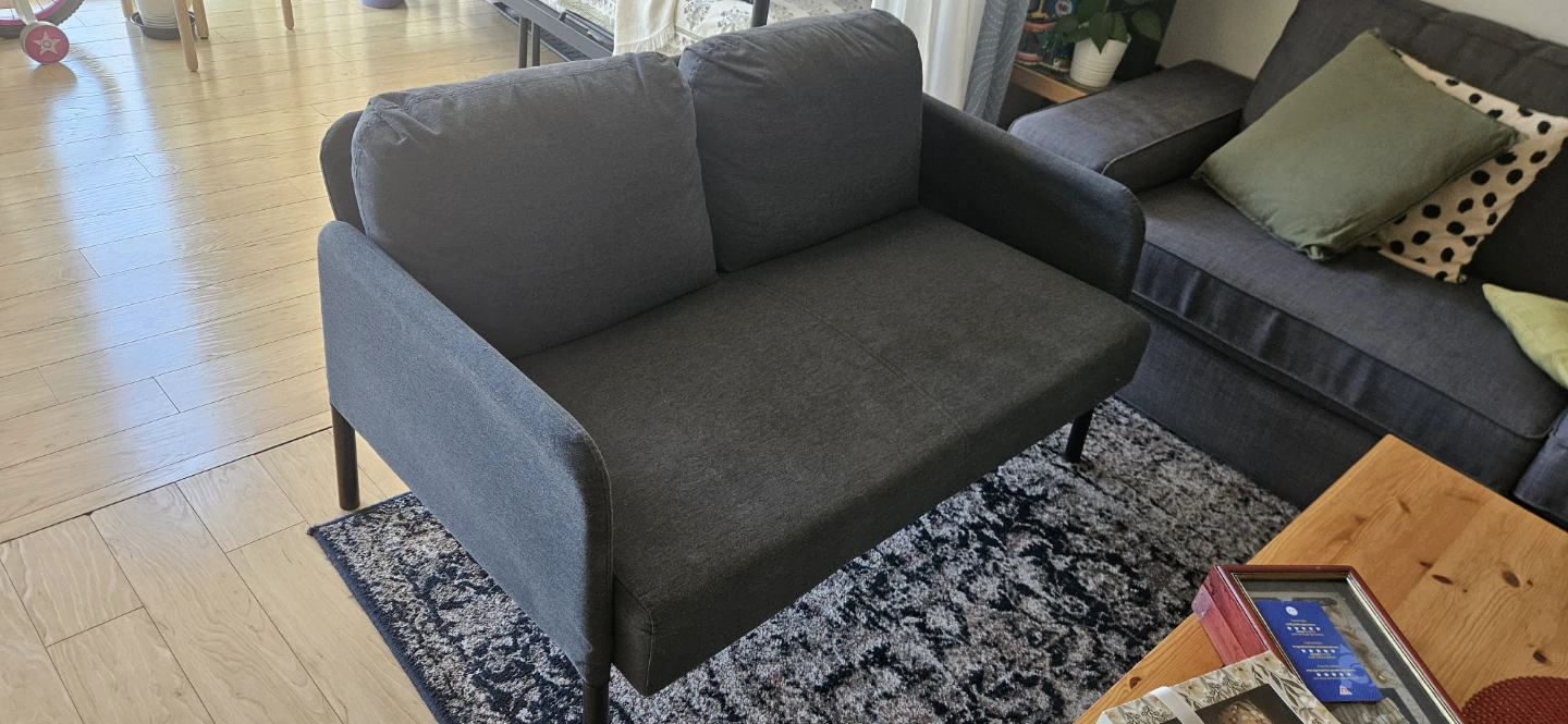 Grey Loveseat Sofa