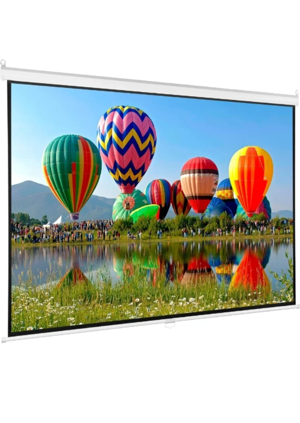 80" Widescreen Projector Screen (16:9 Aspect Ratio) - photo 3