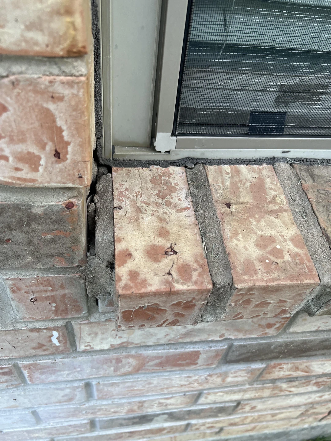 Summer RepairDeals - photo 2