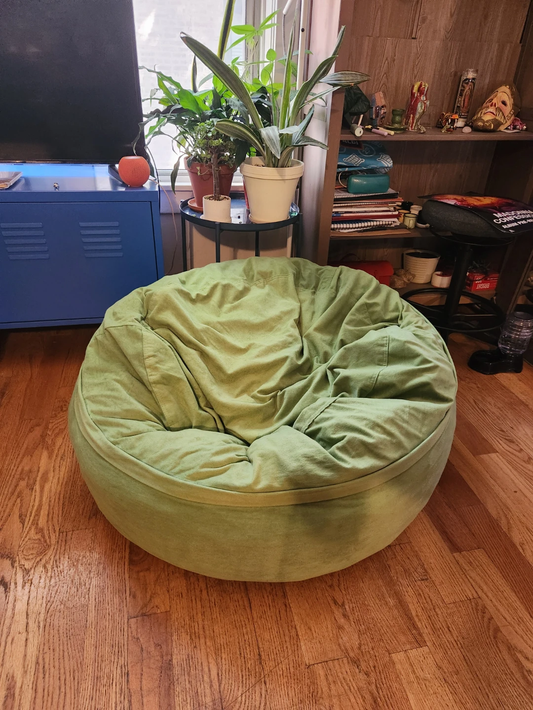 Light Green Bean Bag Chair