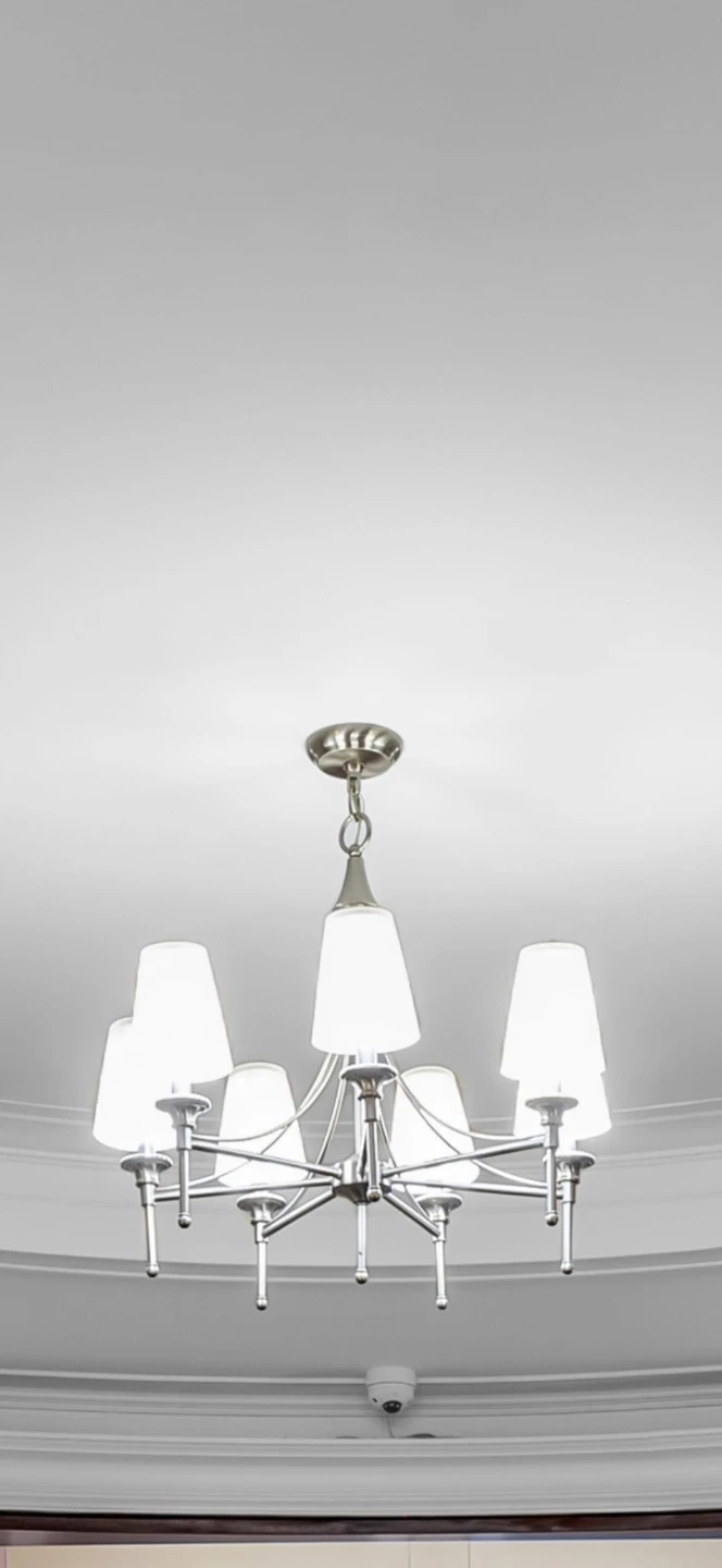 6-Light Chandelier with Frosted Shades