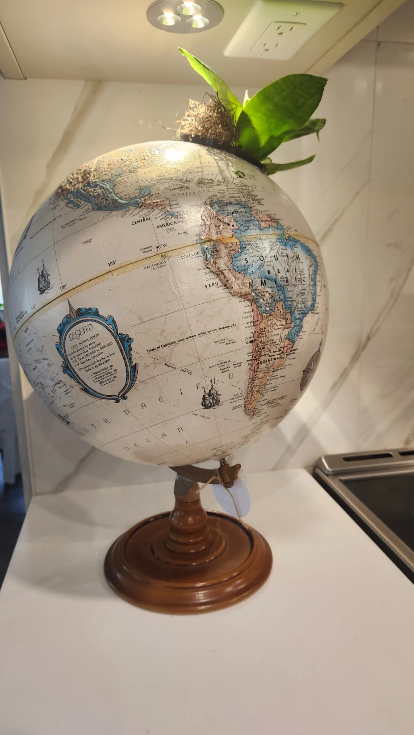 Upcycled globe planter with plant - photo 2
