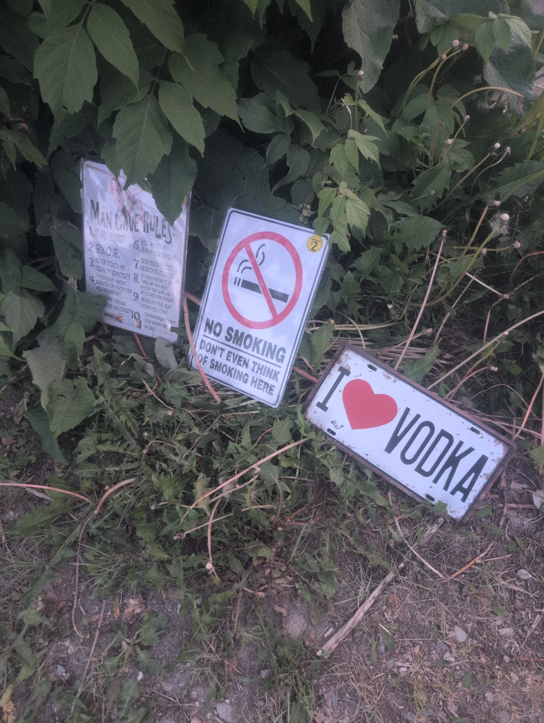 Novelty Signs - Man Cave Rules, No Smoking, I Love Vodka