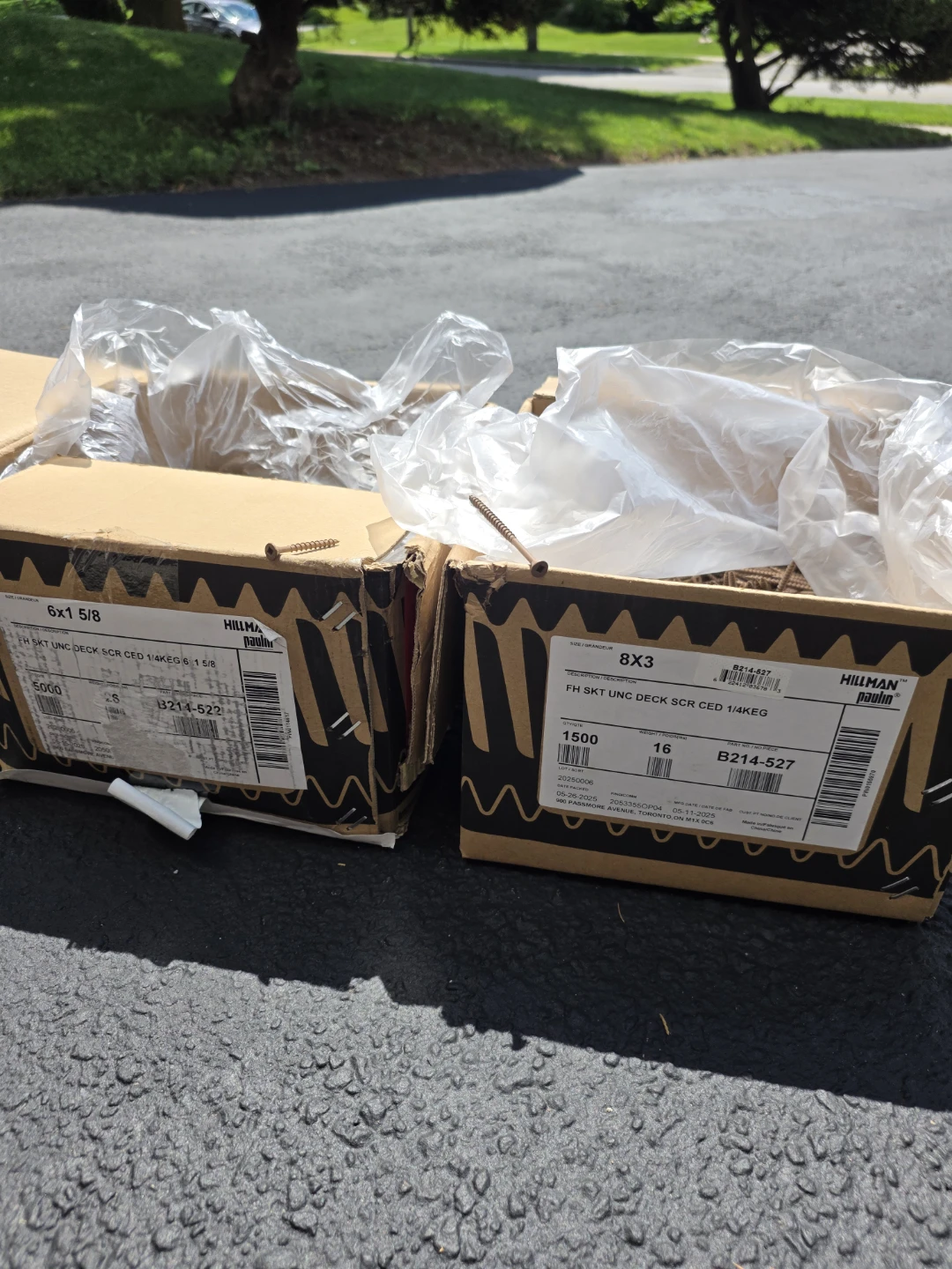 Deck and Fence Screws
