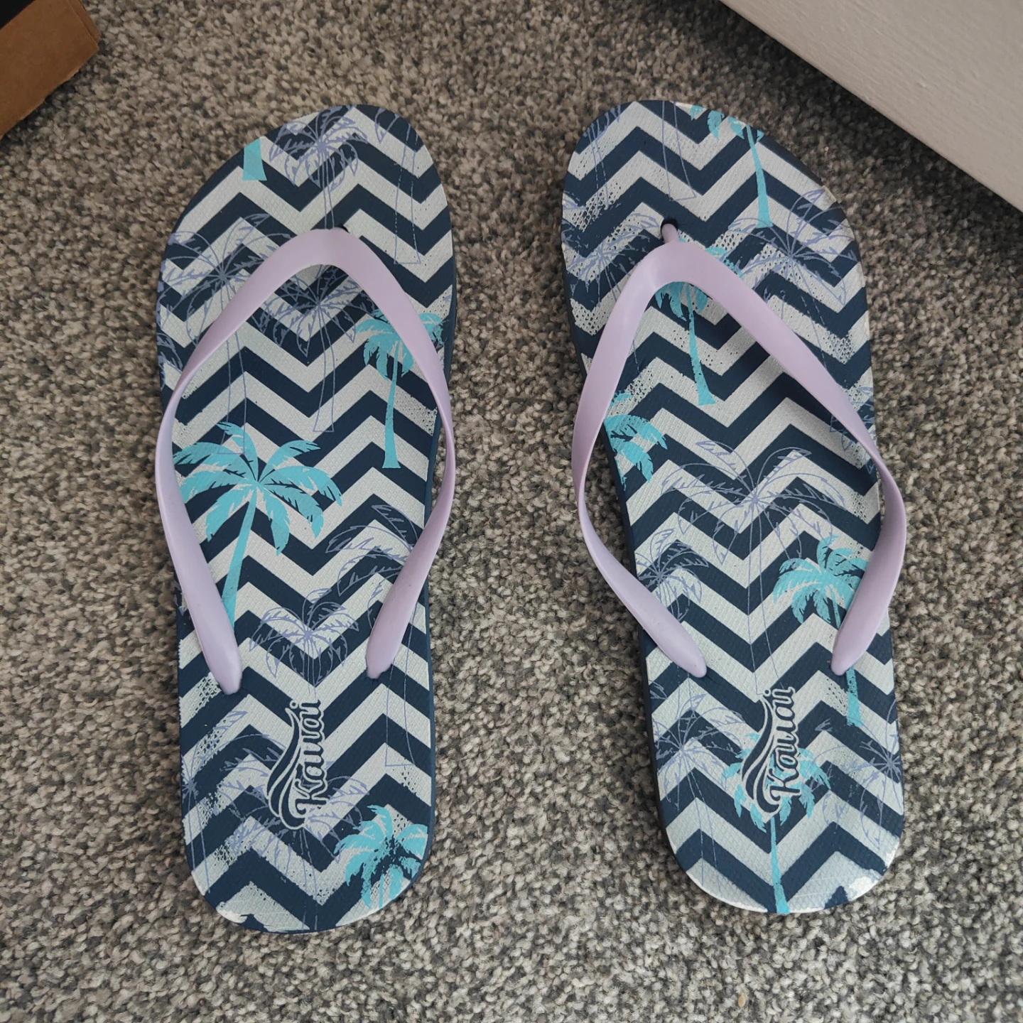 Hawaii slippers