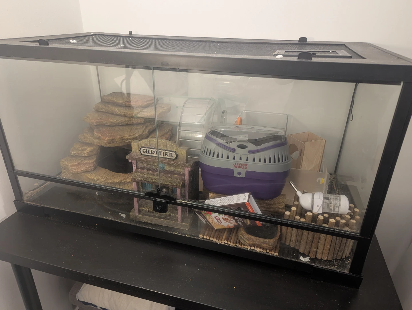 Large Glass Terrarium with Accessories