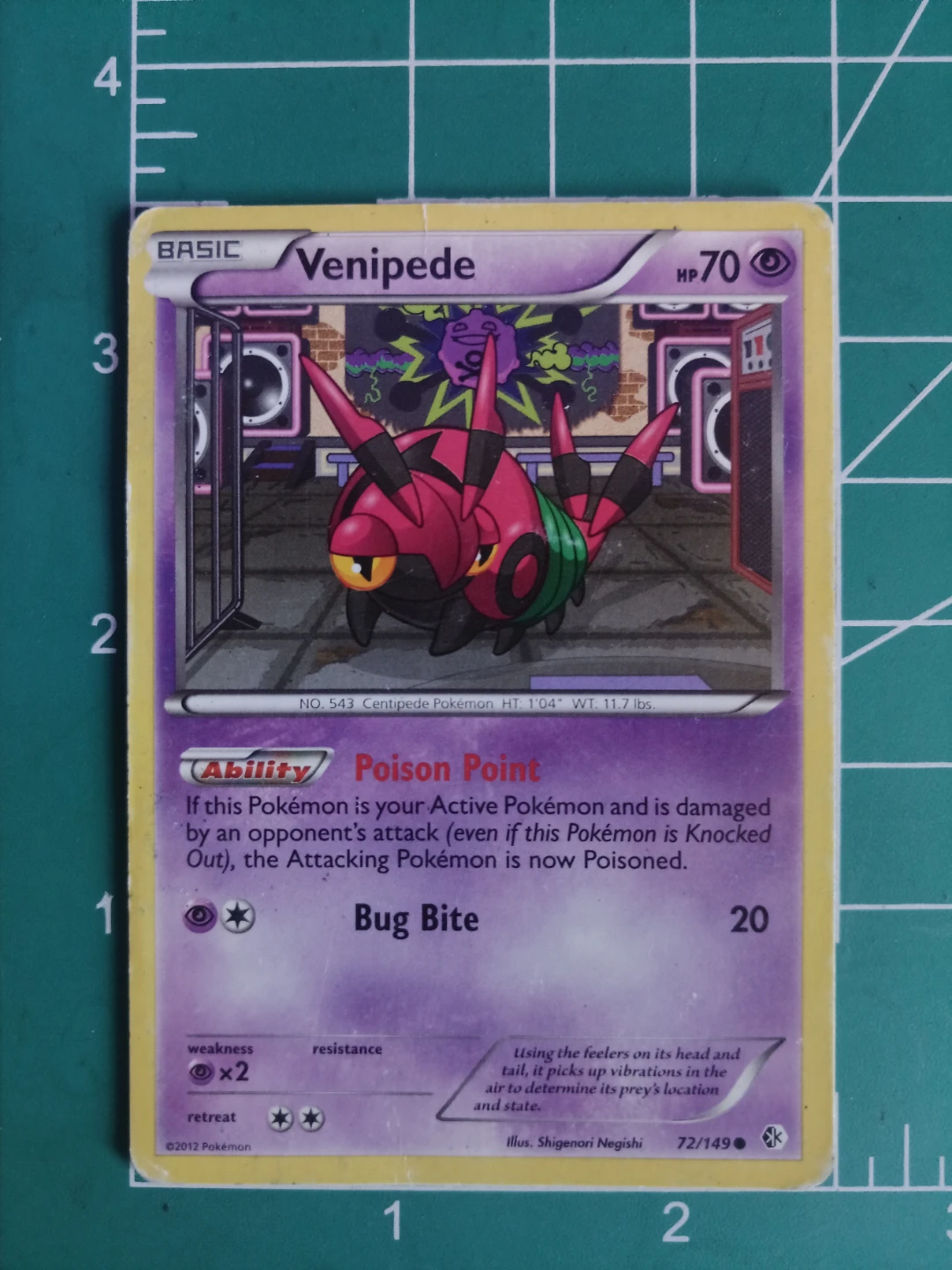 Venipede Pokémon Card