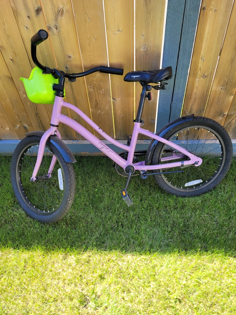 Kids Bicycle with Basket