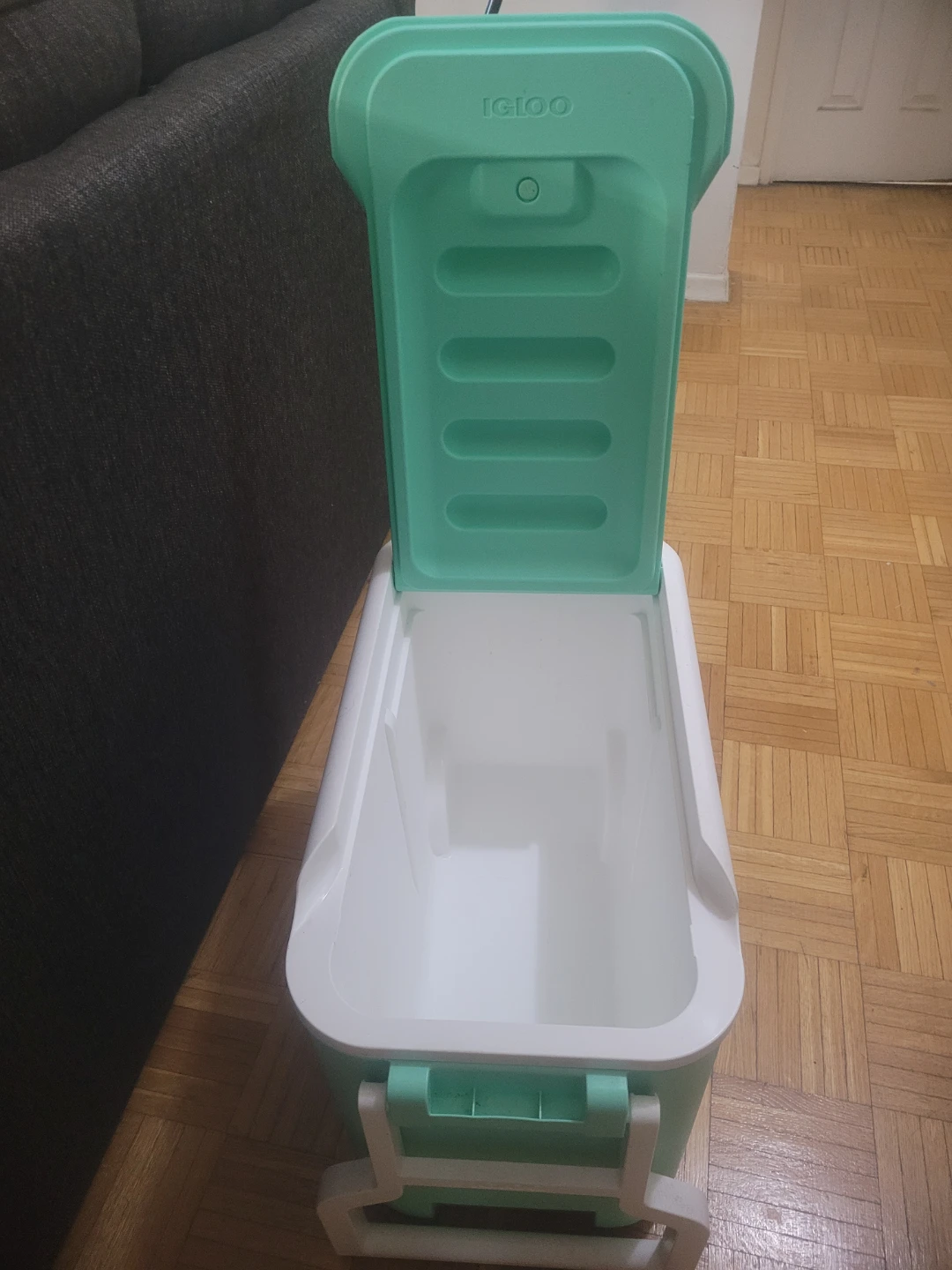 Igloo Cooler - Green & White