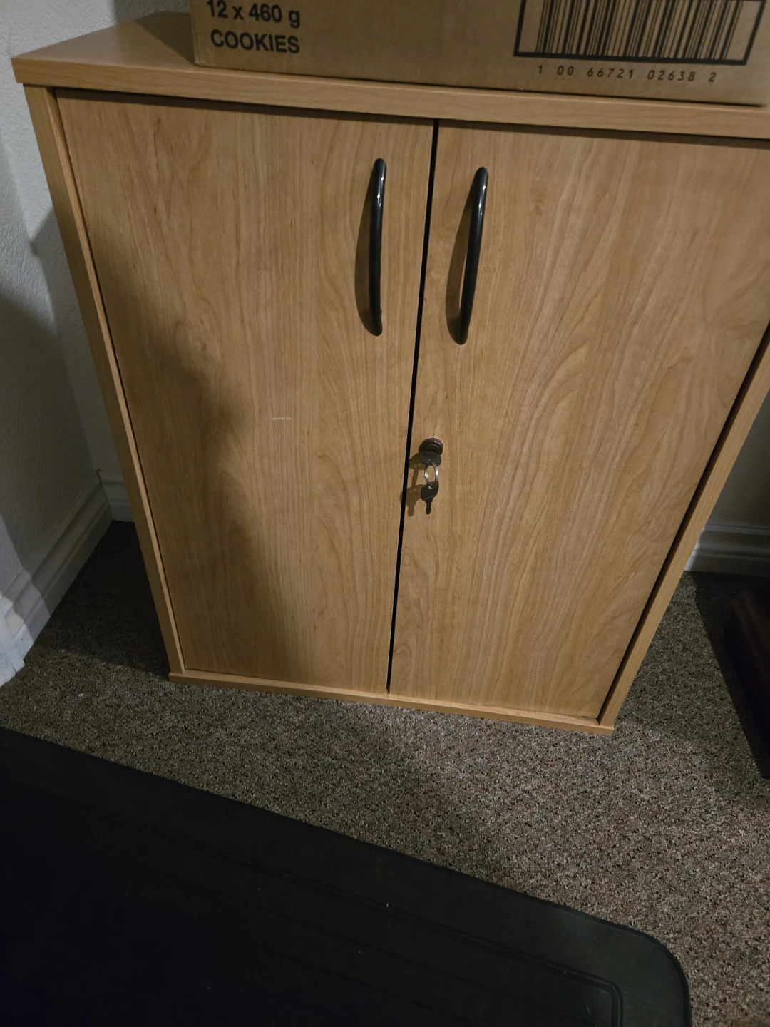 Wooden Storage Cabinet with Lock
