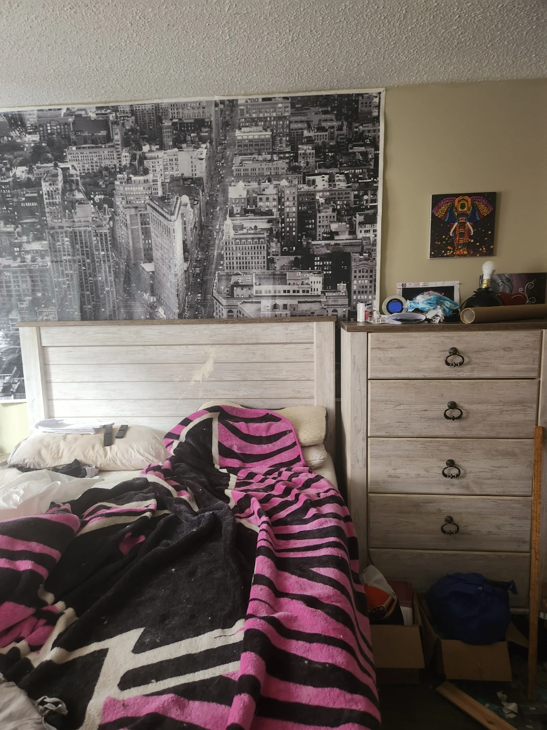 Room for rent