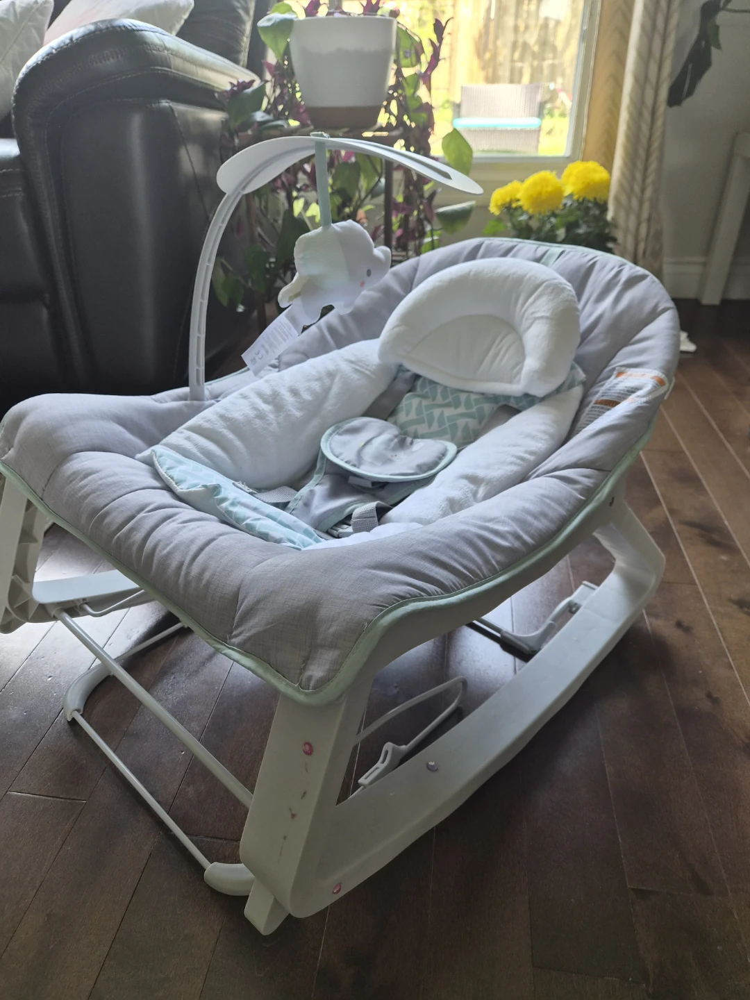 Baby Bouncer / Infant Rocker