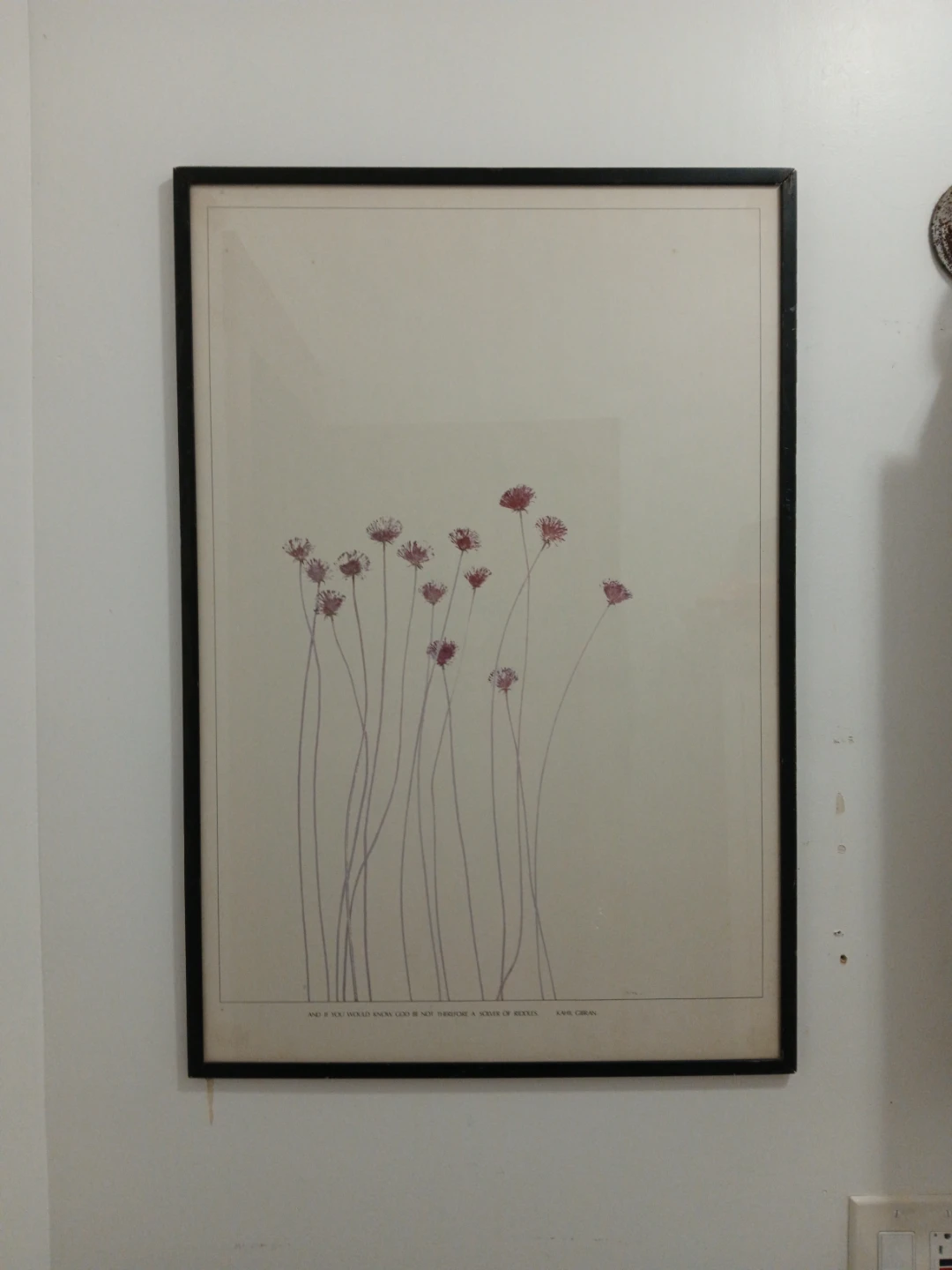 Framed Print "margaritas flowers" by Kahlil Gibran