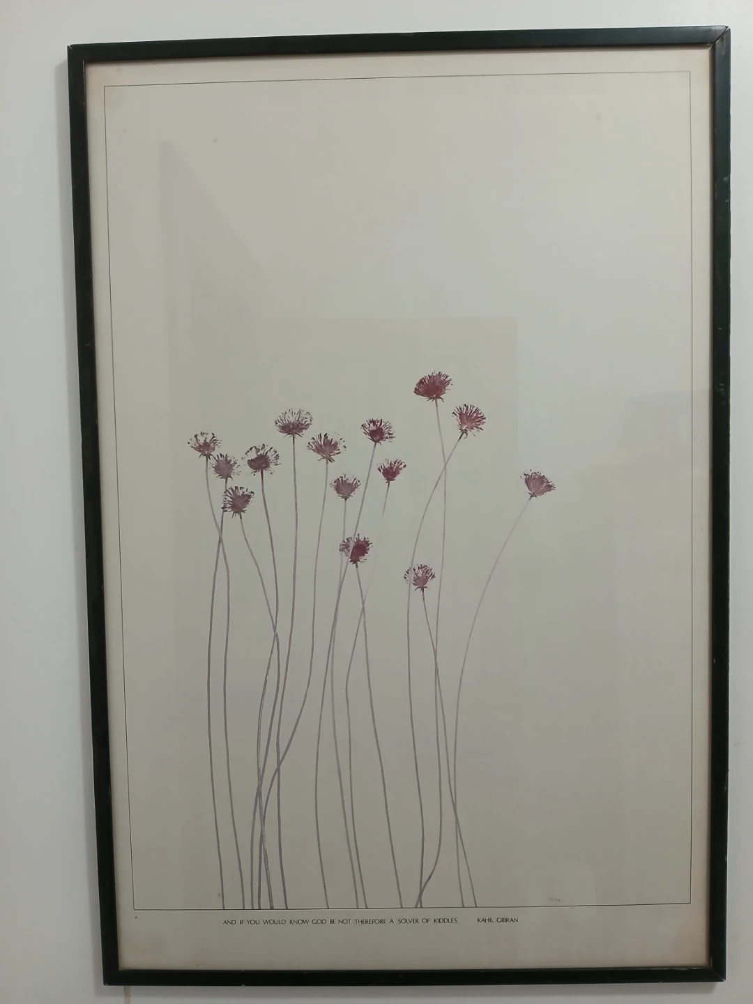 Framed Print "margaritas flowers" by Kahlil Gibran - photo 3