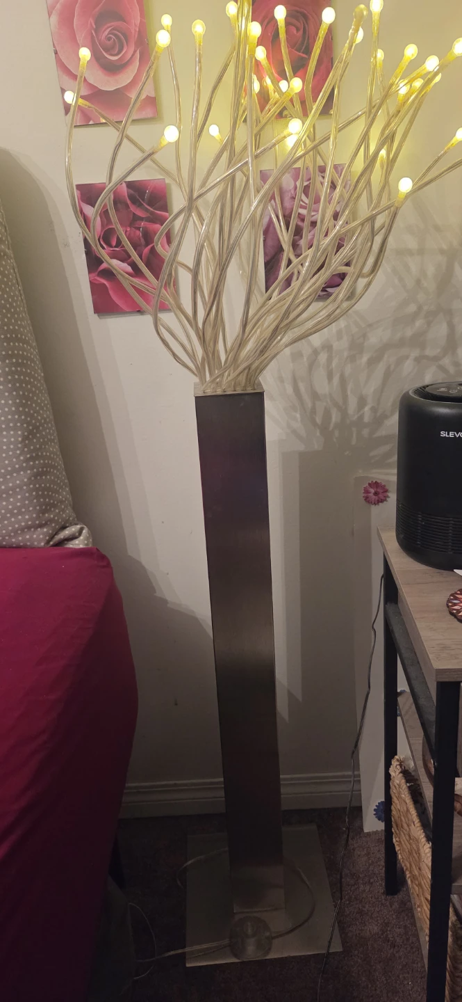 Floor Lamp with LED Lights