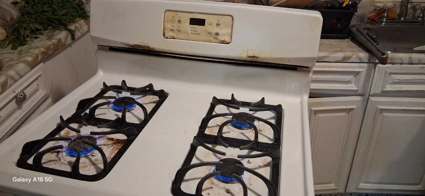 White Gas Range Stove
