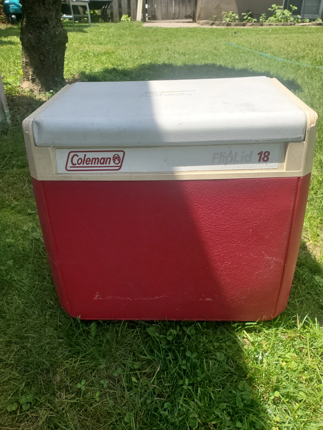 SMALL COLEMAN COOLER - photo 2