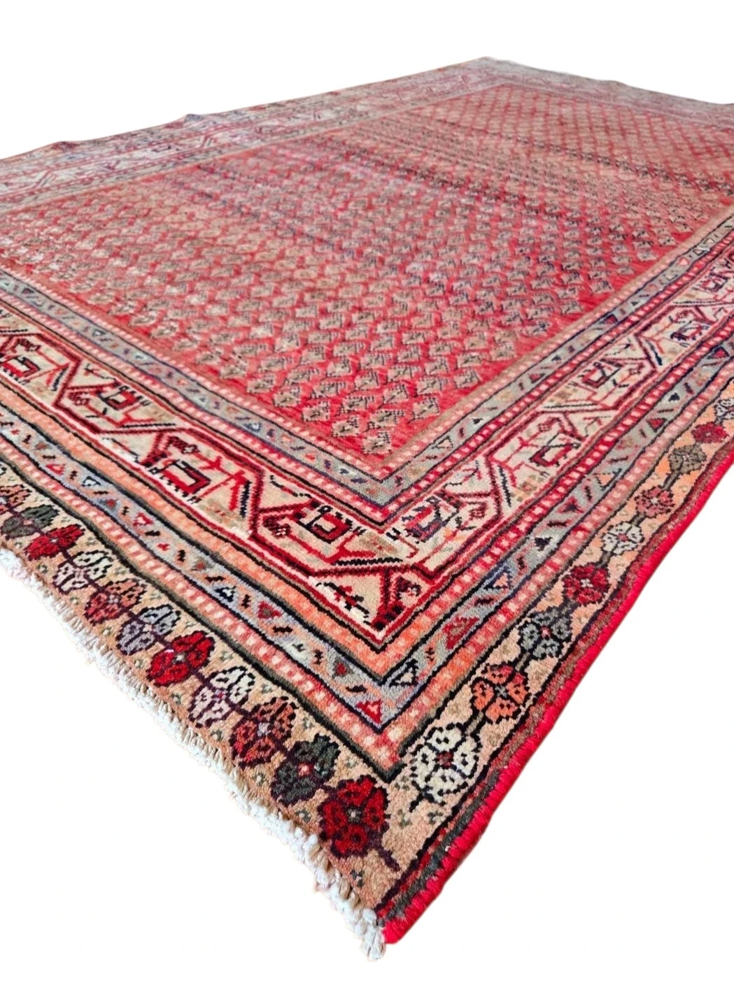 Genuine Persian  Hand-Knotted Wool Area Rug ( - photo 4