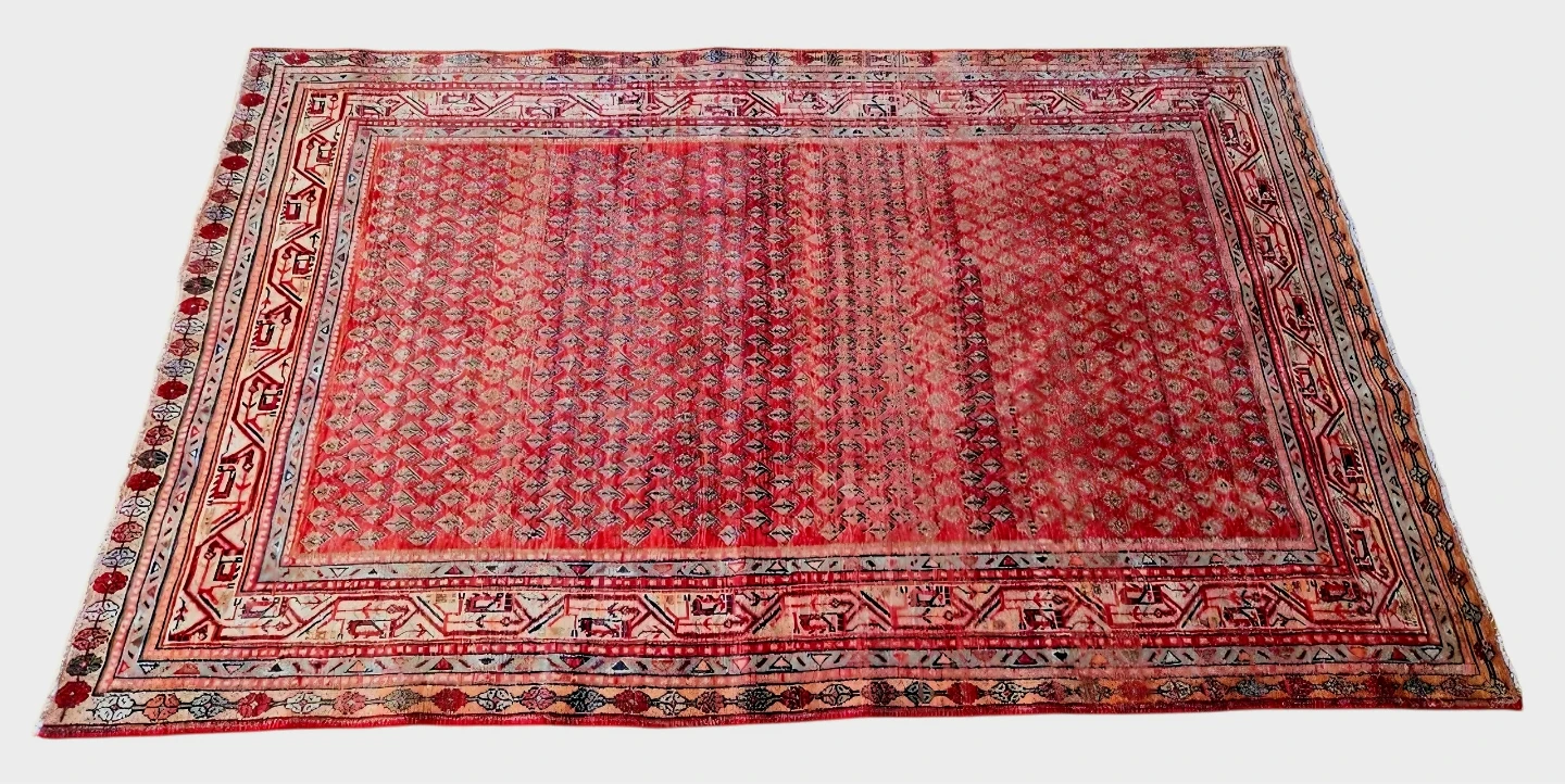 Genuine Persian  Hand-Knotted Wool Area Rug ( - photo 5