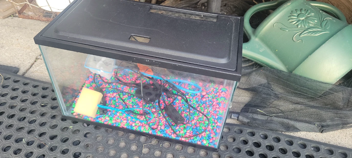 Aquarium Tank with Accessories