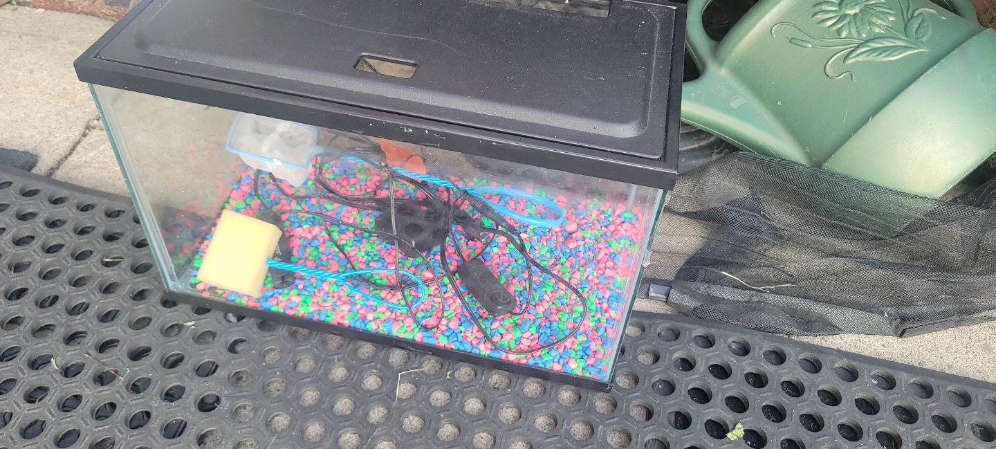 Aquarium Tank with Accessories - photo 2
