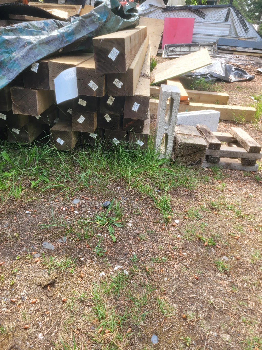 Half price treated 4x4 posts - photo 2