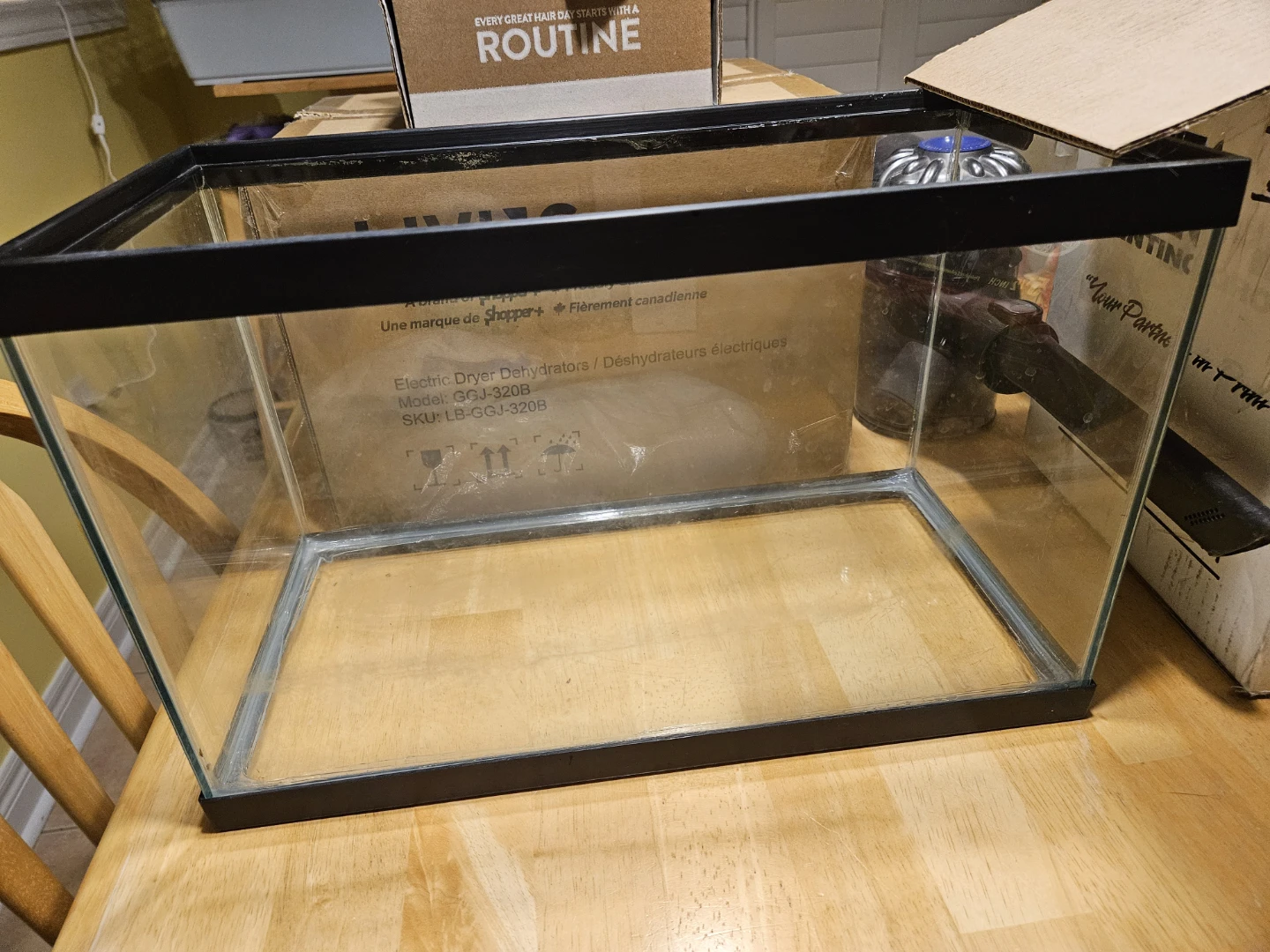 5 Gallon Glass Aquarium Tank (with Turtle supplies)