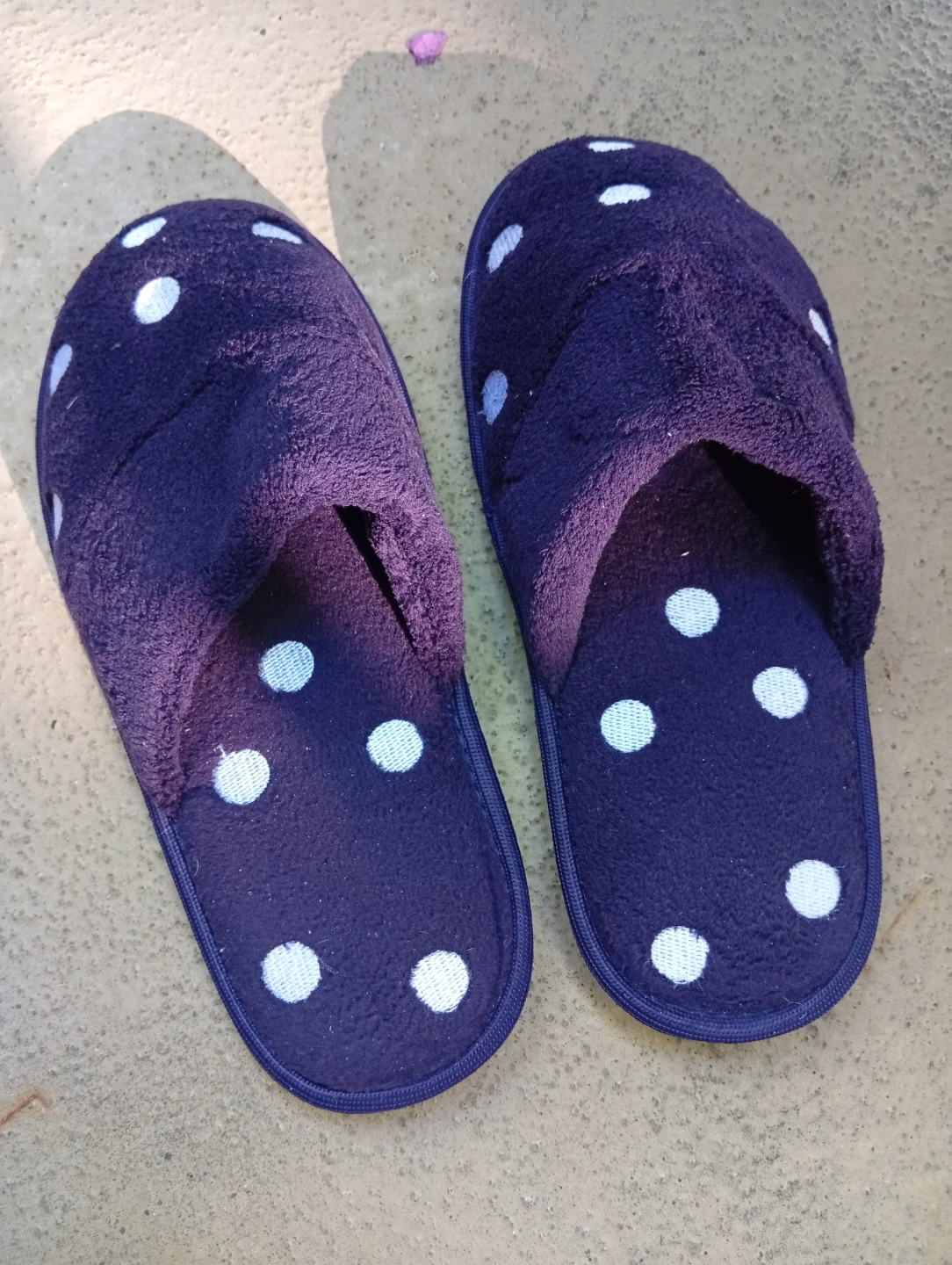 Navy Blue Polka Dot Slippers